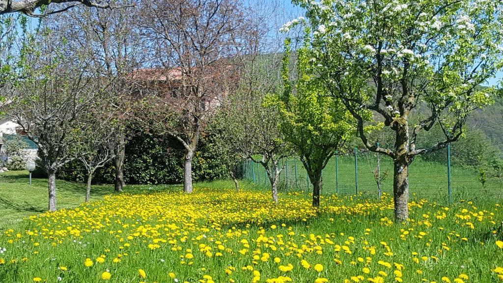 Villa San Giorgio Pellio Superiore Exterior photo